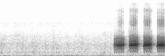 Weißbrust-Ameisenwürger - ML187941