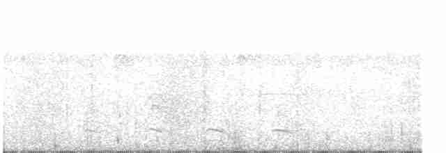Black-crowned Antshrike - ML188037111