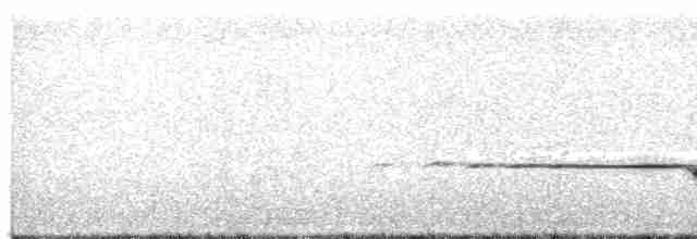 Mangrove Whistler - ML188055561
