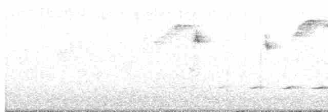 Mangrove Whistler - ML188055571