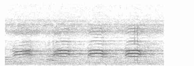 Орлан білочеревий - ML188076441
