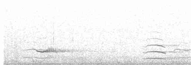 Horned Grebe - ML188101201