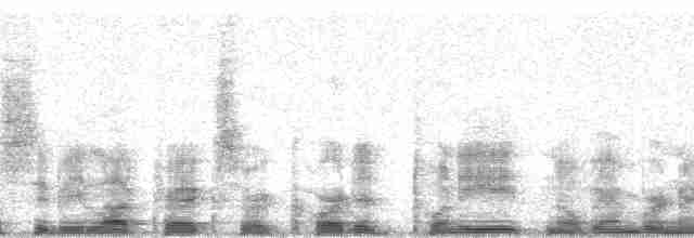 volavka hvízdavá - ML18811