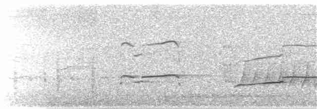 Скопа (cristatus) - ML188145131