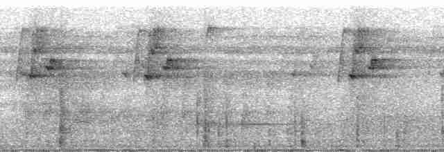 オオユミハシハチドリ（moorei グループ） - ML188150