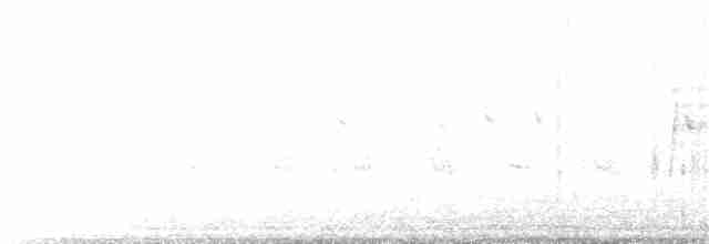 Chaparralgrasmücke - ML188170411