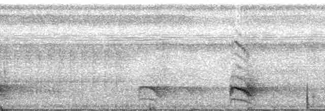 brunvingemaurvarsler - ML188176