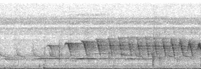 Nordamazonien-Ameisenschnäpper - ML188197