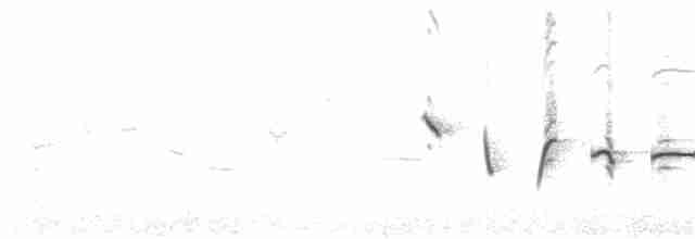 Tüpfelborstenvogel - ML188245501
