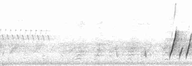 Kıvrık Gagalı Çöpçü [curvirostre grubu] - ML188271