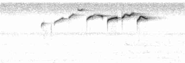 Зондская расписная пеночка (grammiceps) - ML188274071