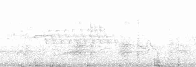 Eichelspecht [formicivorus-Gruppe] - ML188276