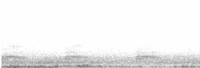 Common Chiffchaff (Siberian) - ML188310561