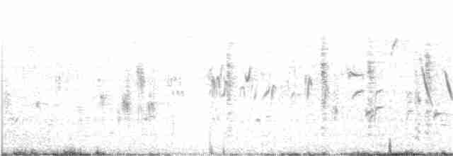 Bataklık Çıtkuşu - ML188605291