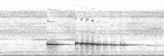 Graubrust-Ameisendrossel - ML188625