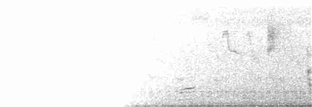 Oriental Reed Warbler - ML188641671