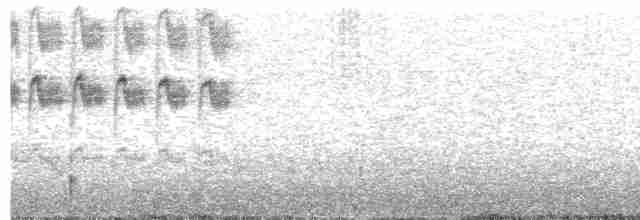 White-throated Hummingbird - ML188709561