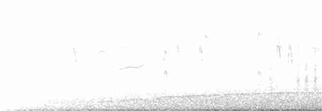 Ev Çıtkuşu [aedon grubu] - ML188720391