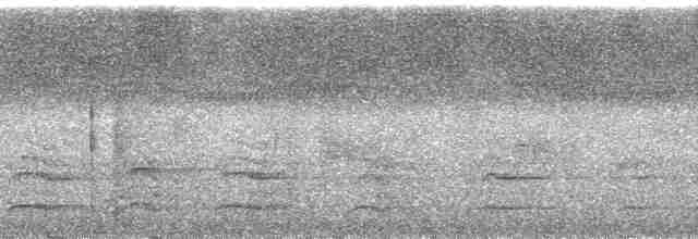 白喉林鴿 - ML188766