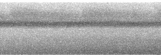 白喉林鴿 - ML188769