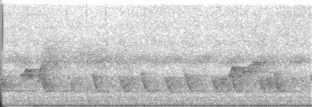 Large-tailed Nightjar - ML189095211