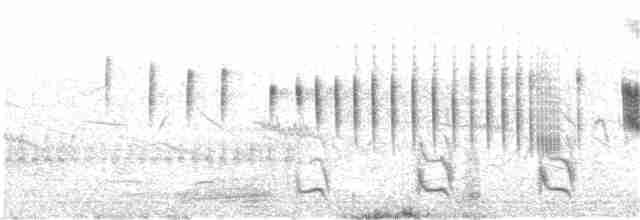 Sinsonte Calandria - ML189101061