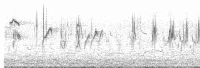 Singing Bushlark (Australasian) - ML189256991
