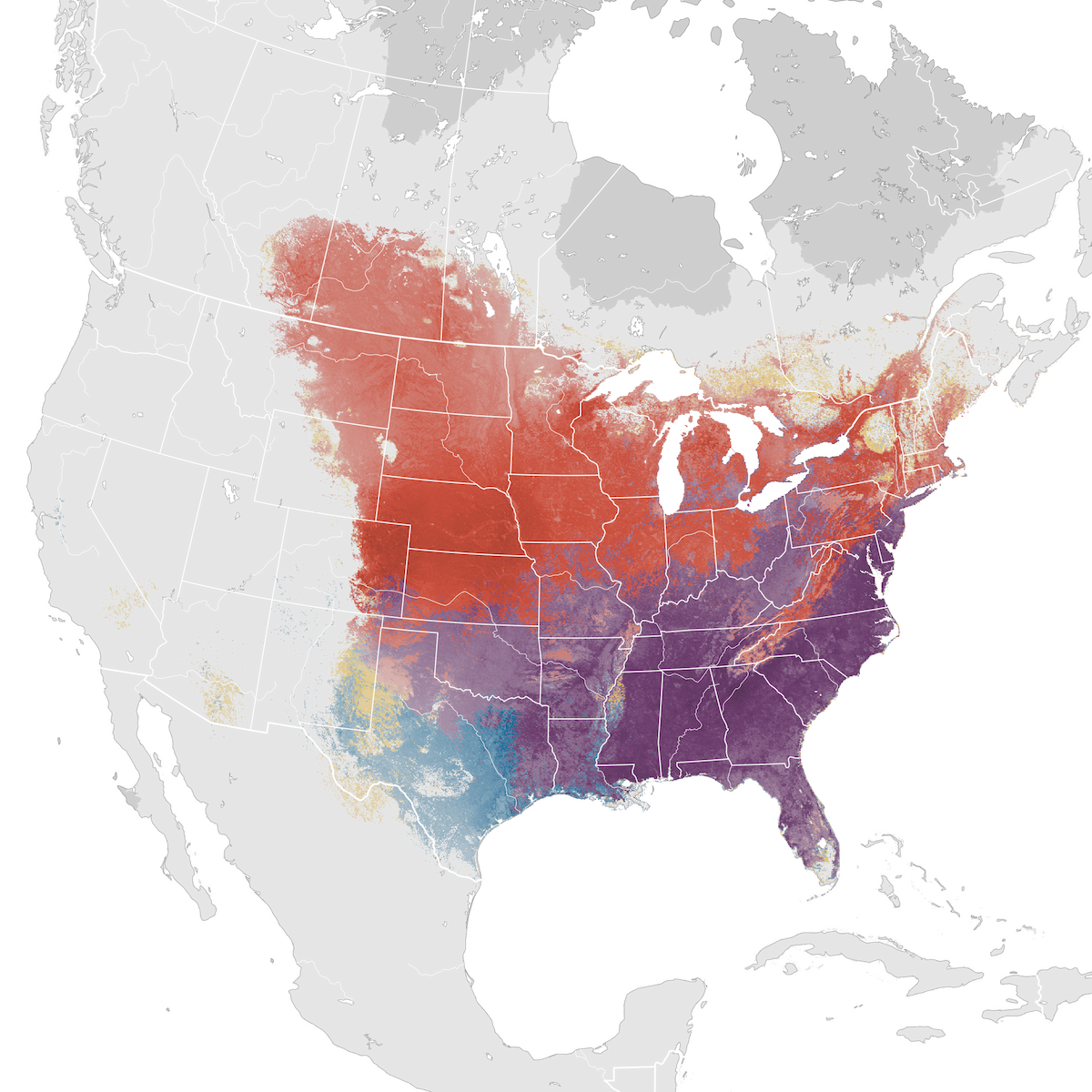 Brown Thrasher - Abundance map - eBird Status and Trends