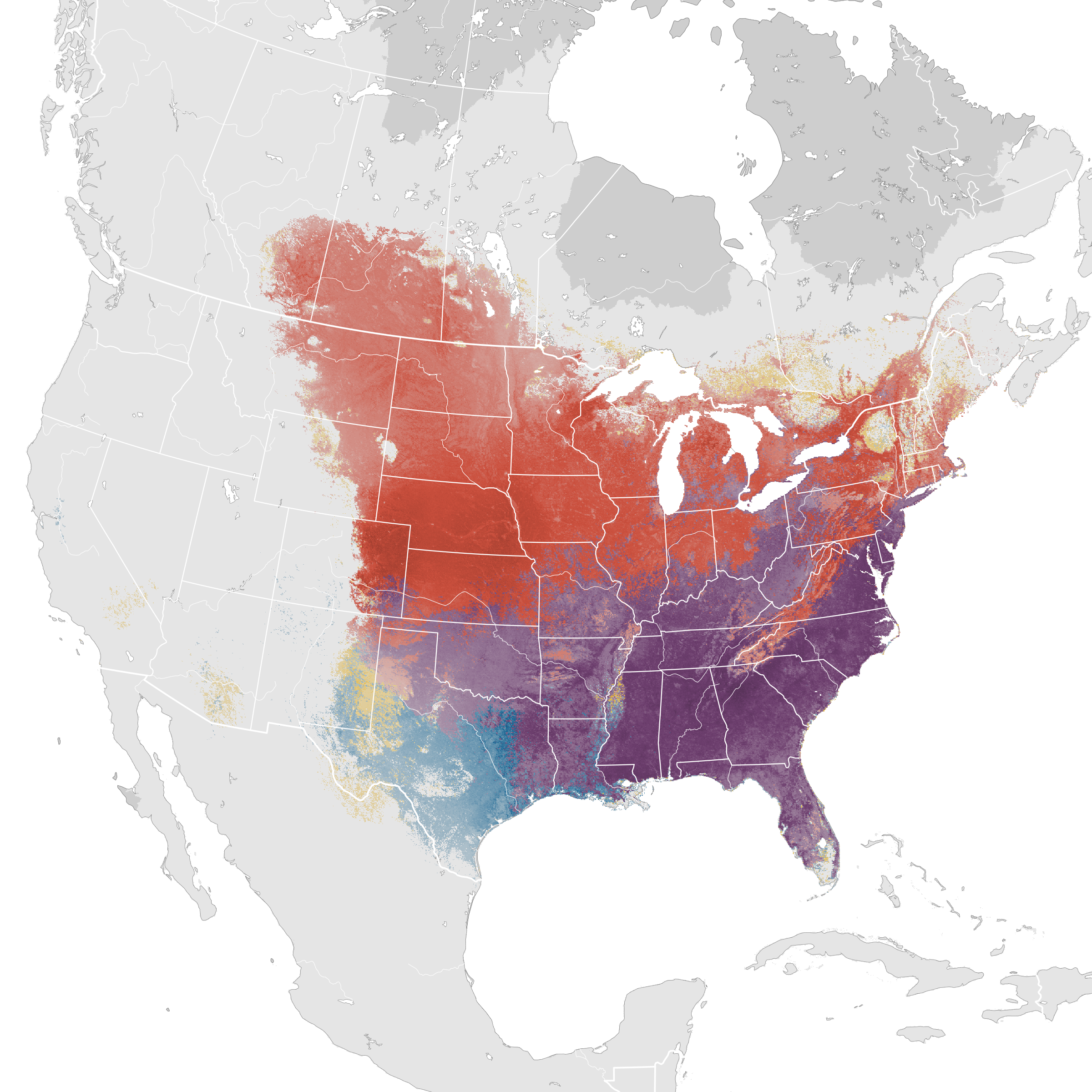 brown thrasher abundance map ebird status and trends brown thrasher abundance map ebird