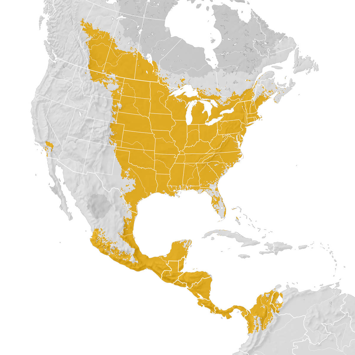 Baltimore Oriole - Range map: Pre-breeding migration - eBird Status and ...