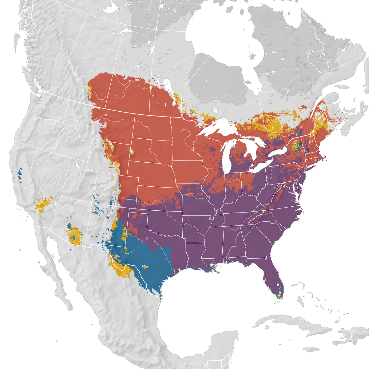 Brown Thrasher - Range map - eBird Status and Trends