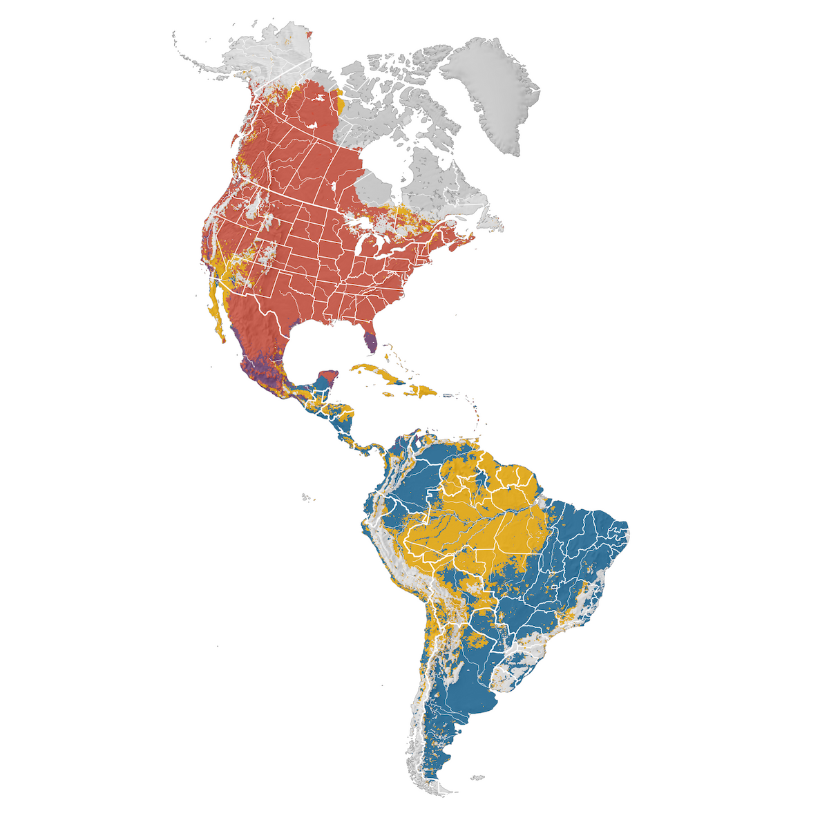 Barn Swallow - Range map - eBird Status and Trends