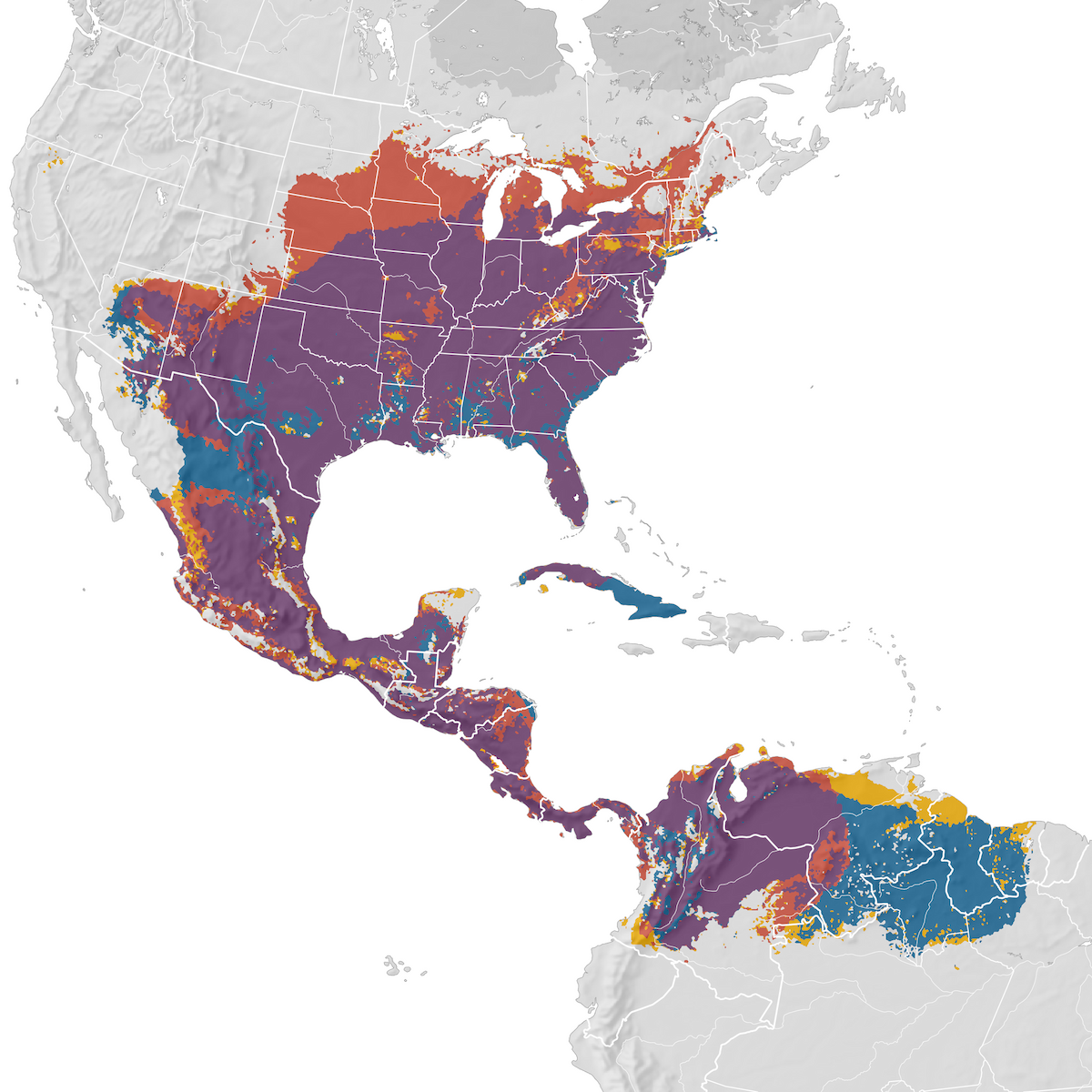 Eastern Meadowlark Range map eBird Status and Trends