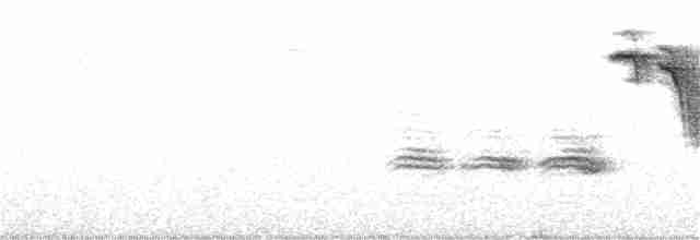 Black-capped Chickadee - ML189278911