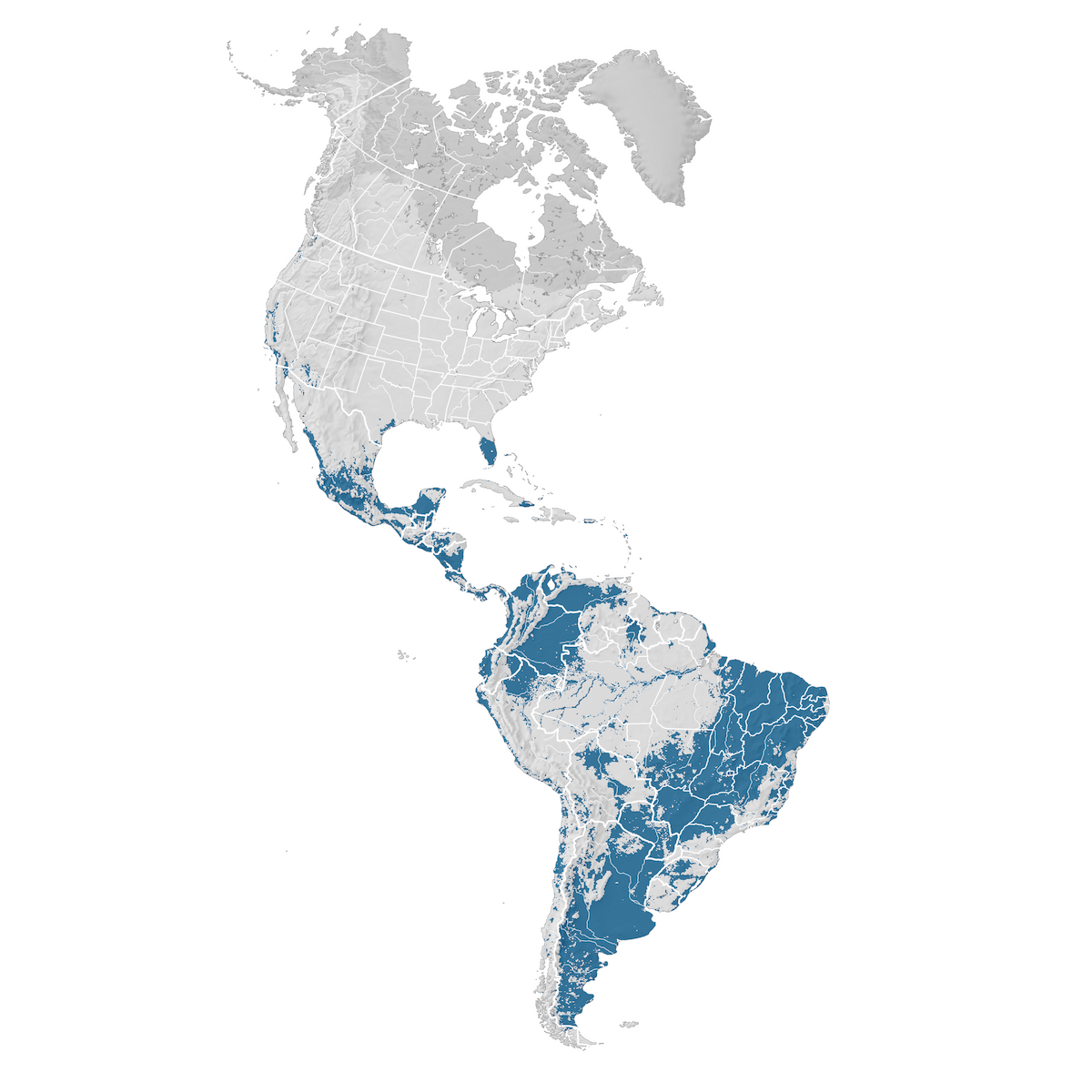 Barn Swallow - Range map: Non-breeding - eBird Status and Trends