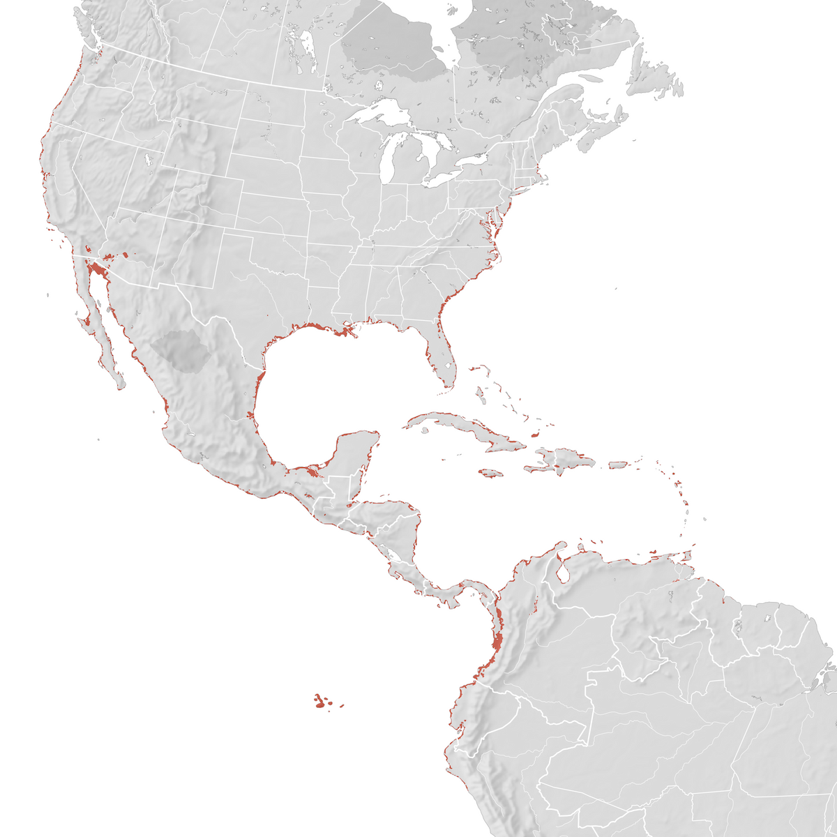 Brown Pelican - Range map: Breeding - eBird Status and Trends