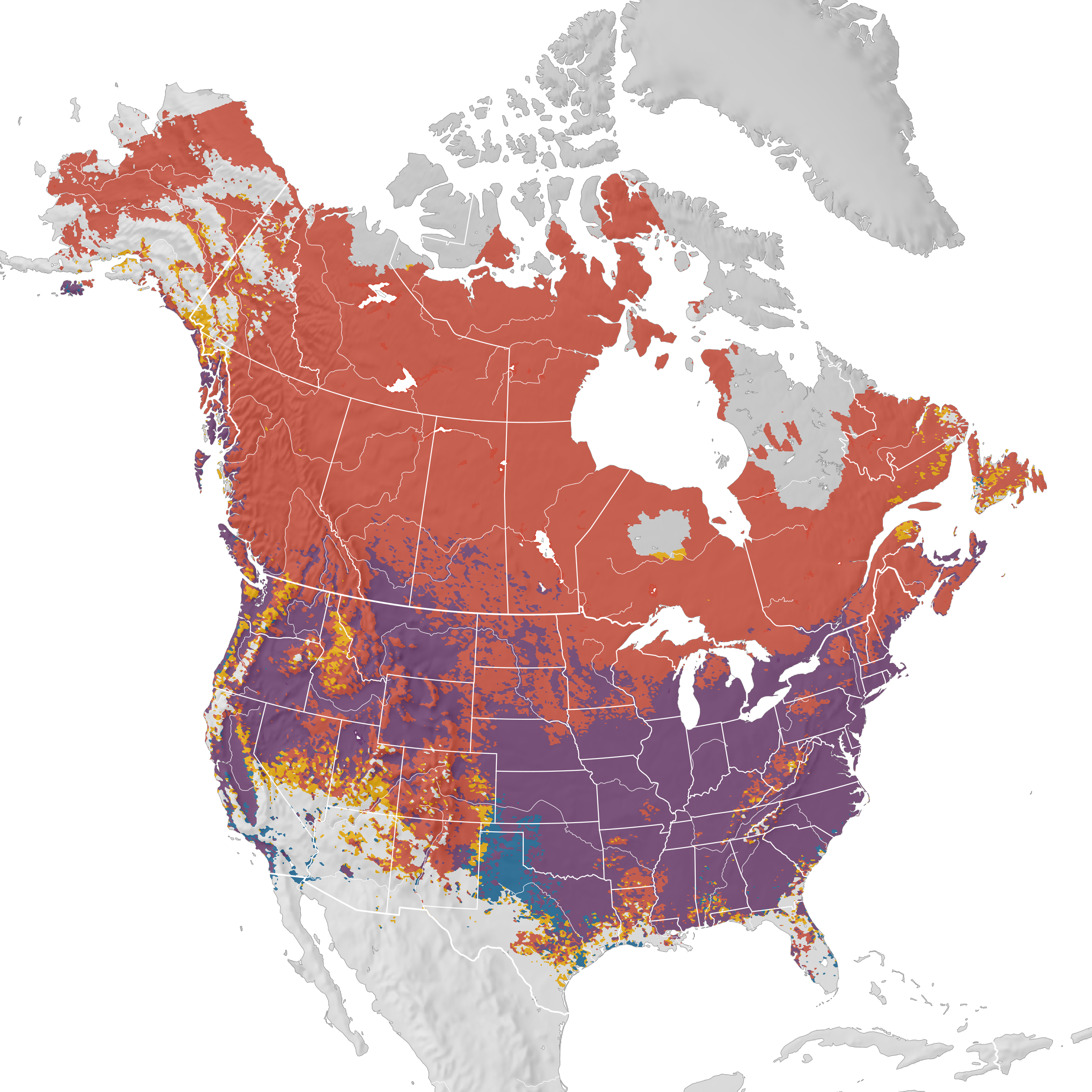 Canada Goose Migration Map Canada Goose   Range map   eBird Status and Trends