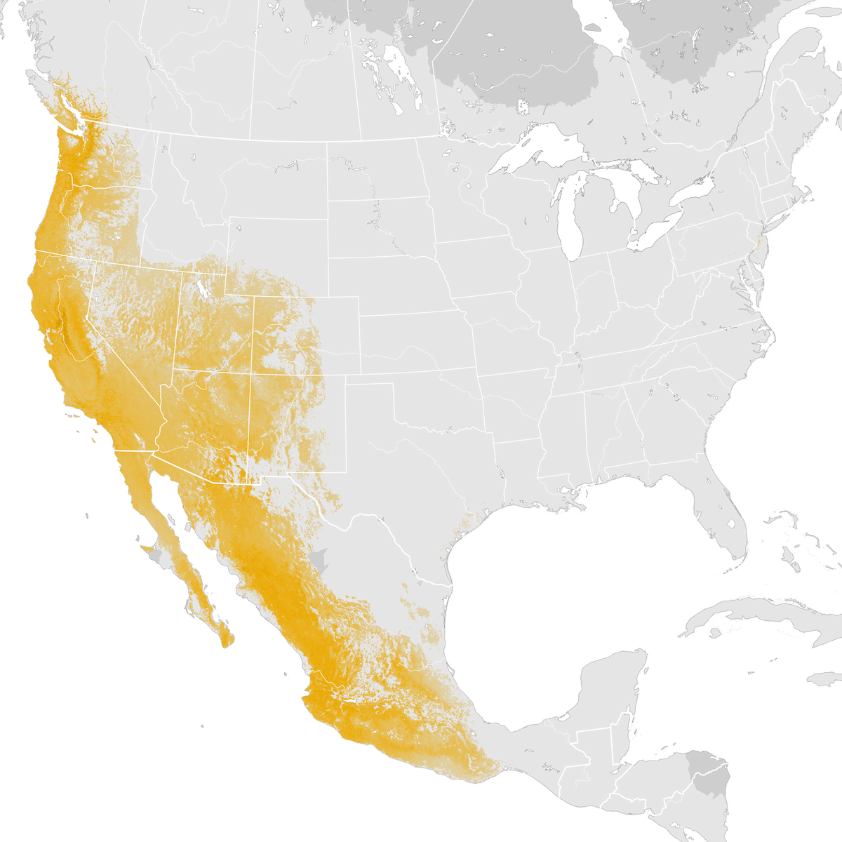 Black Throated Gray Warbler Abundance Map Post Breeding Migration Ebird Status And Trends