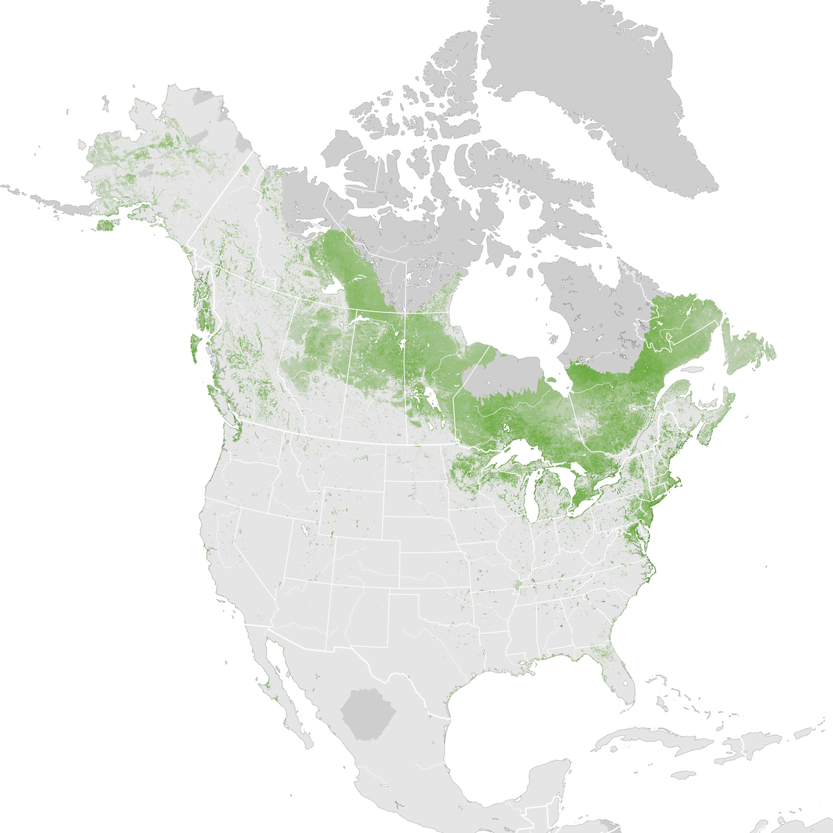 Common Loon - Abundance map: Pre-breeding migration - eBird Status and ...