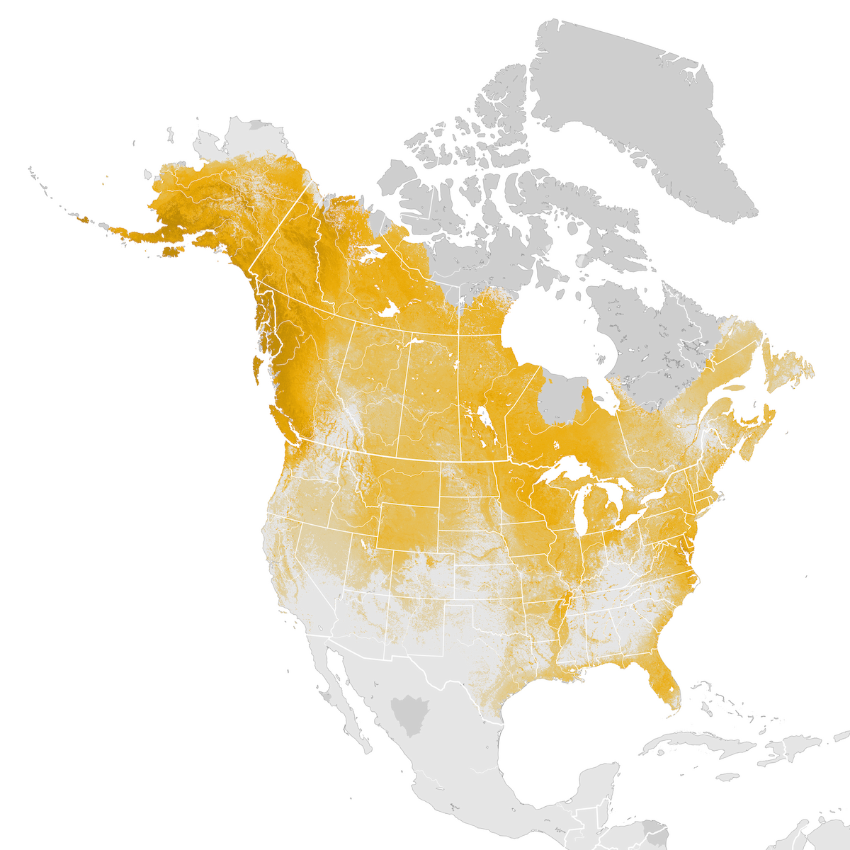 Bald Eagle - Abundance map: Post-breeding migration - eBird Status and