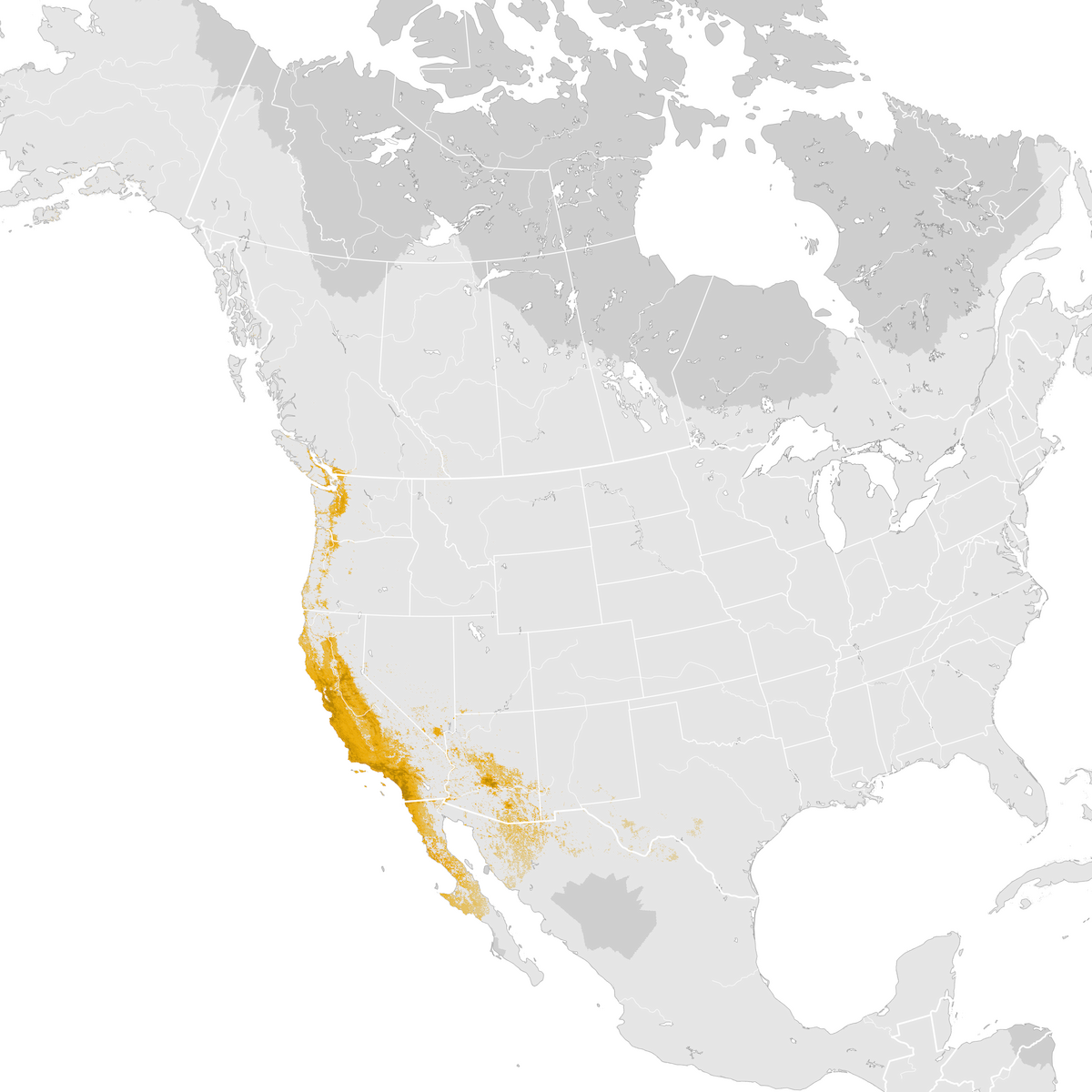 Anna's Hummingbird - Abundance Map: Post-breeding Migration - EBird ...