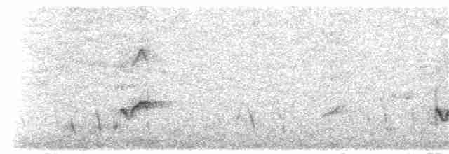 太平洋金斑鴴 - ML189306981