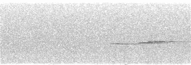 Дрізд-короткодзьоб сірий [група fuscater] - ML189315231