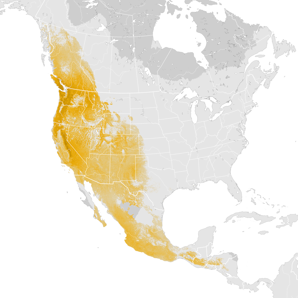 MacGillivray's Warbler - Abundance map: Pre-breeding migration - eBird ...