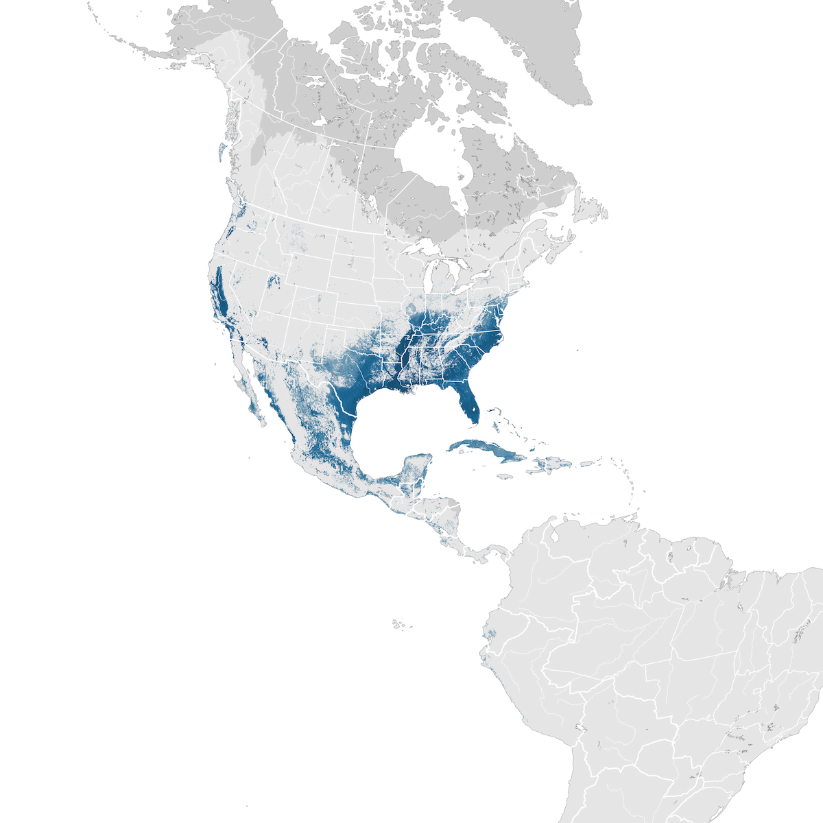 Killdeer Abundance map Nonbreeding eBird Status and Trends
