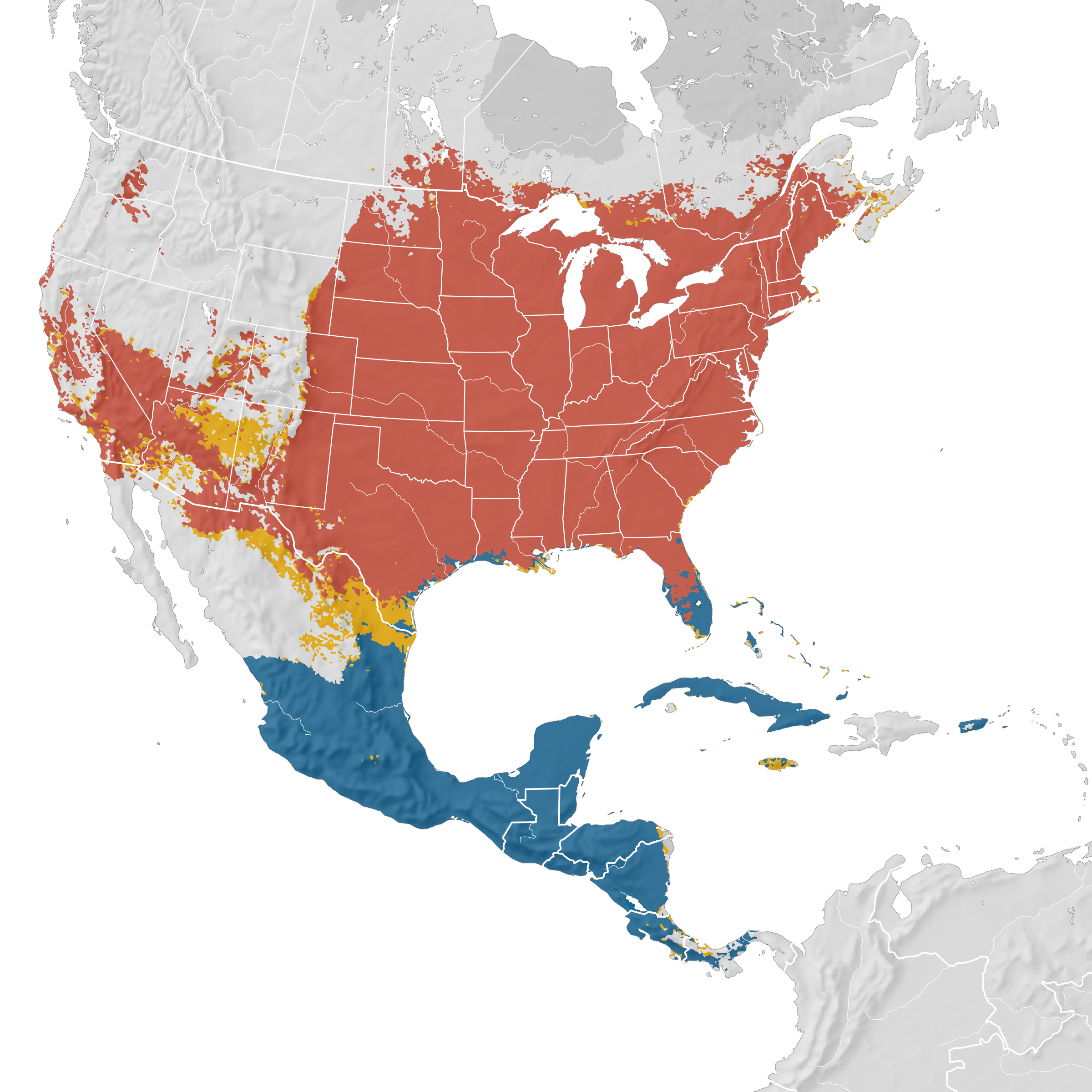 indigo bunting range map Indigo Bunting Range Map Ebird Status And Trends indigo bunting range map