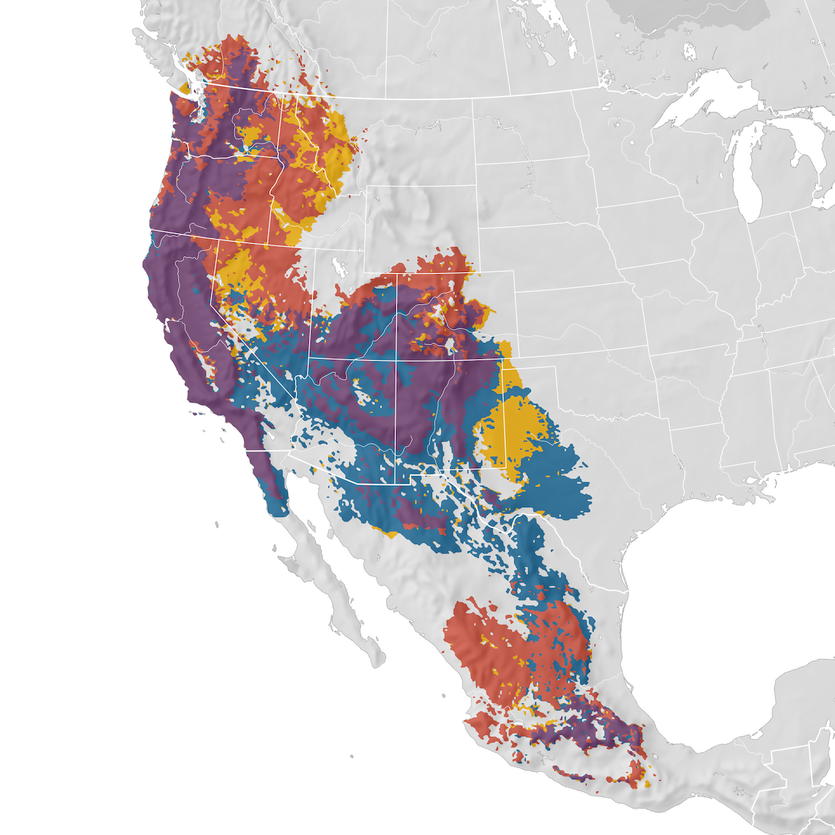Western Bluebird - Range map - eBird Status and Trends