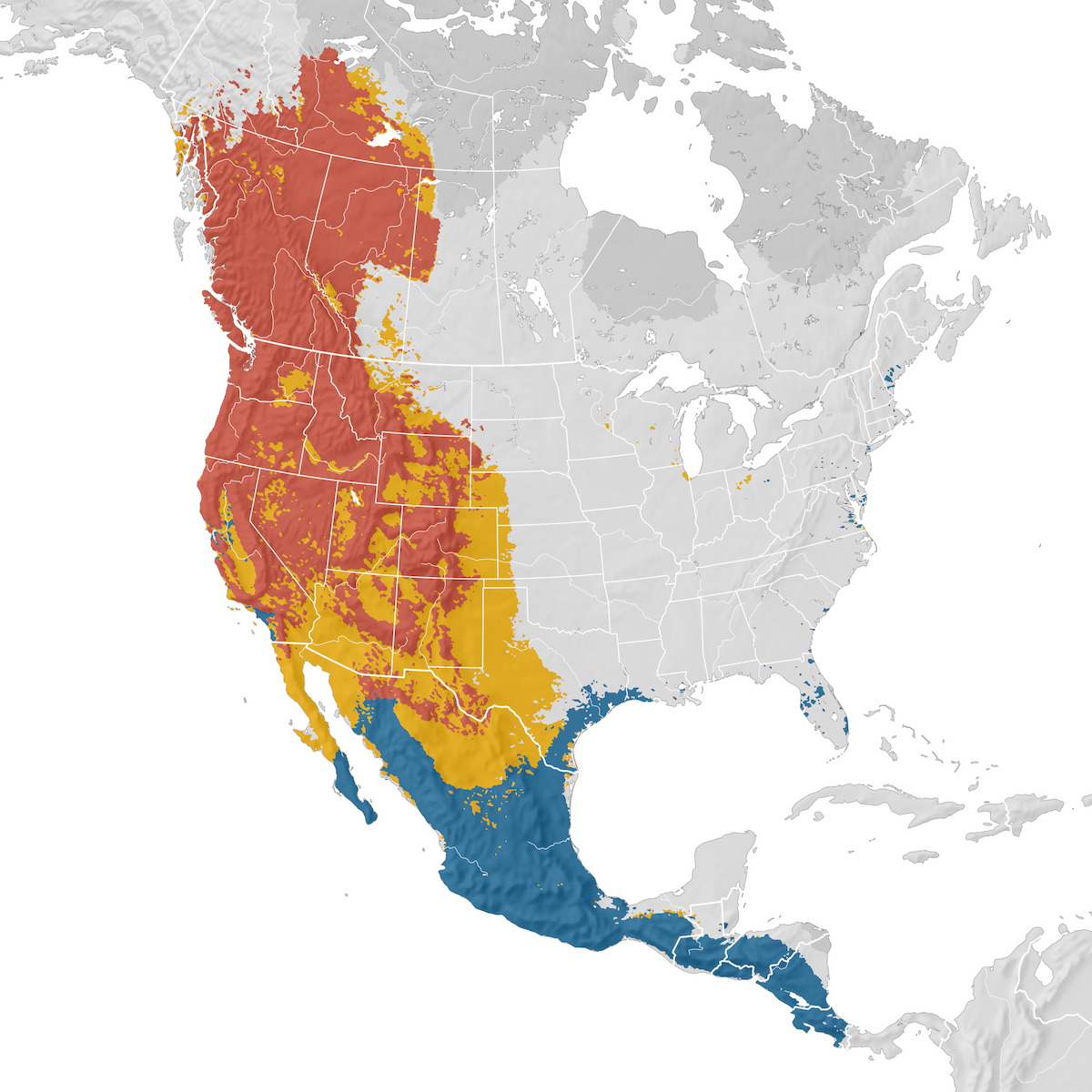 Western Tanager - Range map - eBird Status and Trends