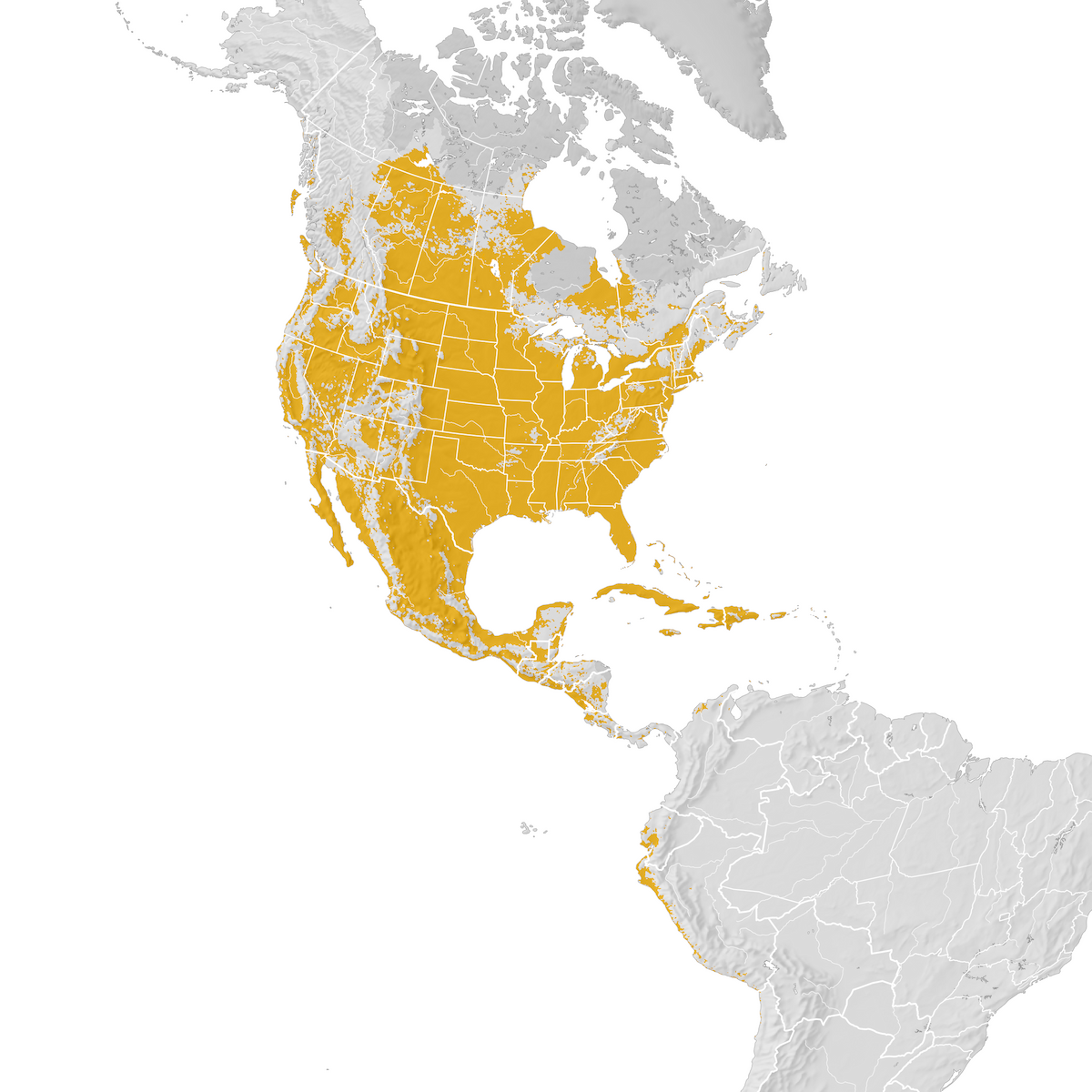 Killdeer Range map Postbreeding migration eBird Status and Trends