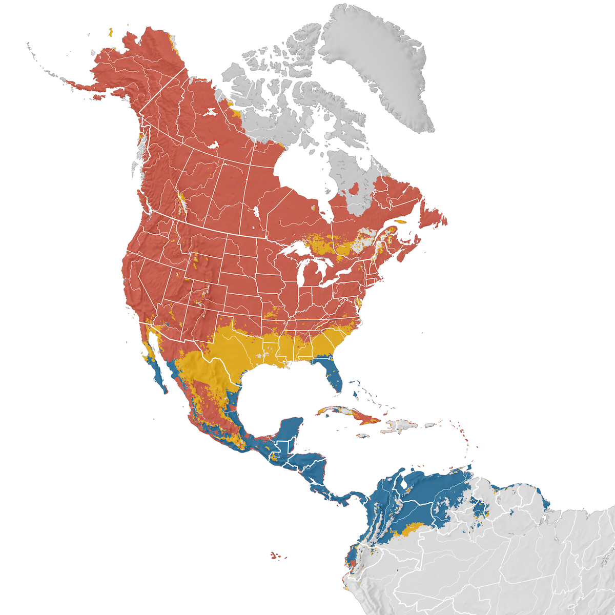 Yellow Warbler - Range Map - EBird Status And Trends